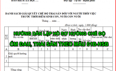 Huong Dan Lap Ho So Huong Che Do Thai San Om Dau Theo Mau 01b Hsb